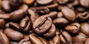 illycaffè and Lavazza release first full genome sequence for coffee