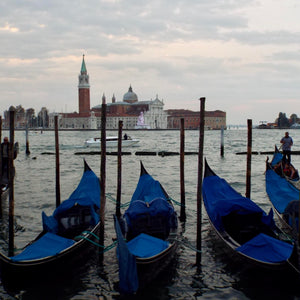 Matthew Fort: Venice!