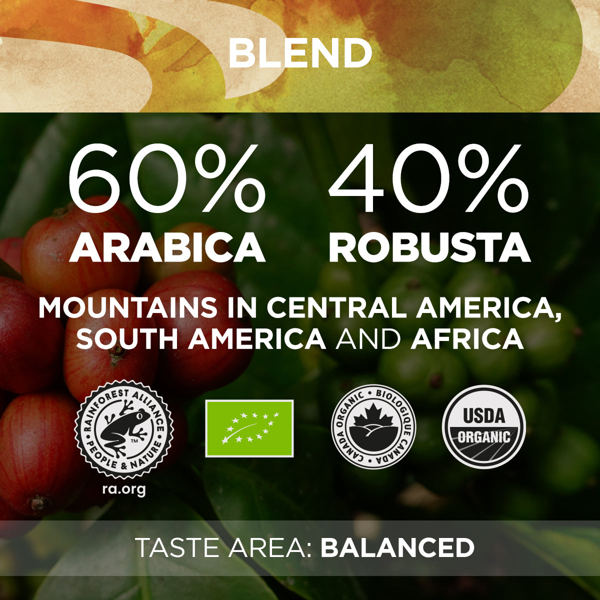 Lavazza La Reserva de ¡Tierra! Humeco Bio-Organic Espresso Coffee Beans